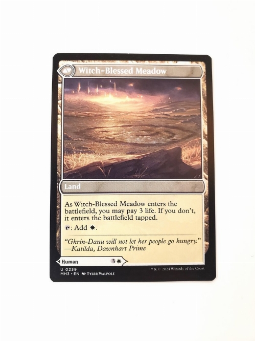 Witch Enchanter // Witch-Blessed Meadow