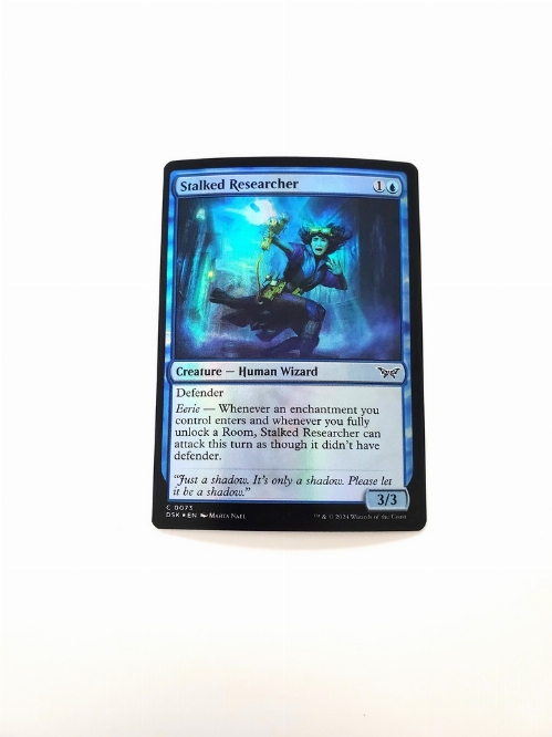 Stalked Researcher (Foil)