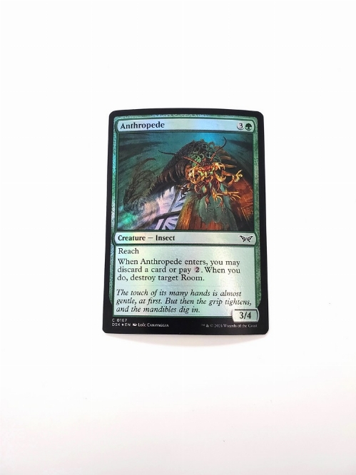 Anthropede (Foil)