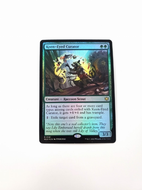Keen-Eyed Curator (Foil)