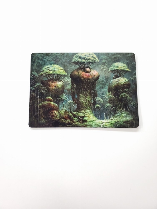 Forest - Art Card