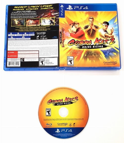 Cobra Kai 2: Dojos Rising (CIB)