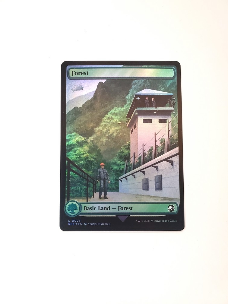 Forest (025) (Foil)