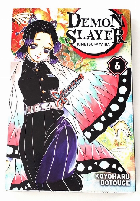 Demon Slayer (Vol.6) (Francais)