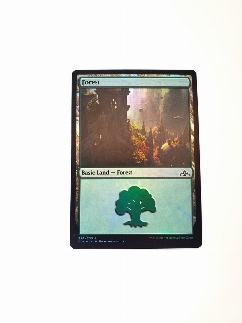 Forest (264) (Foil)