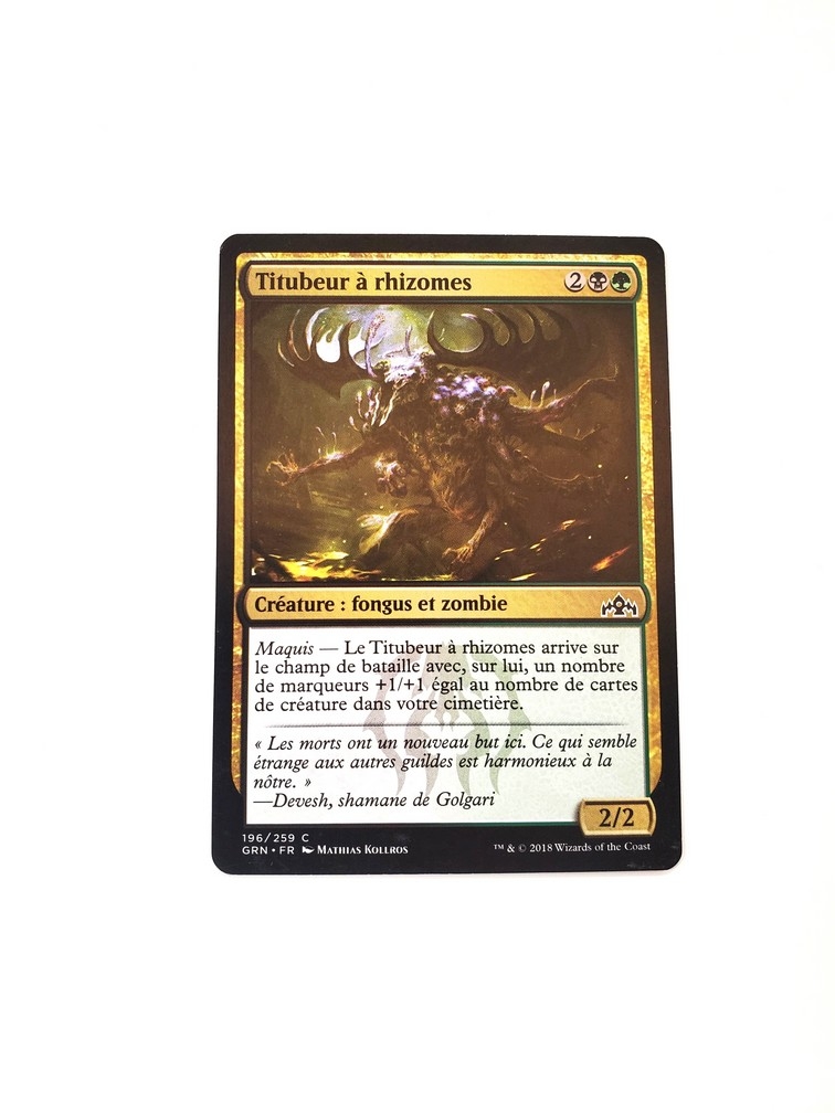 Rhizome Lurcher (Francaise)