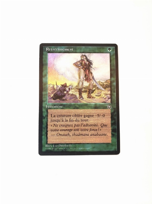 Shrink [Version 2] (Francaise)