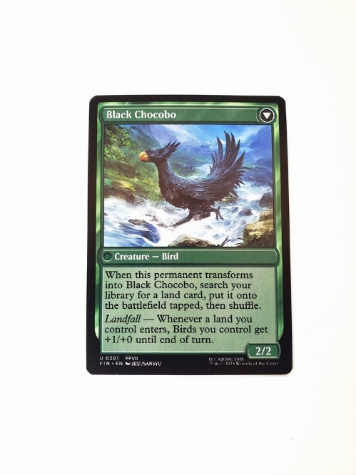 Sidequest: Raise a Chocobo // Black Chocobo