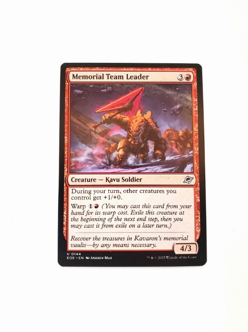 Memorial Team Leader