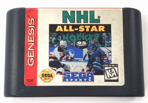 NHL All-Star Hockey 95 * (C)