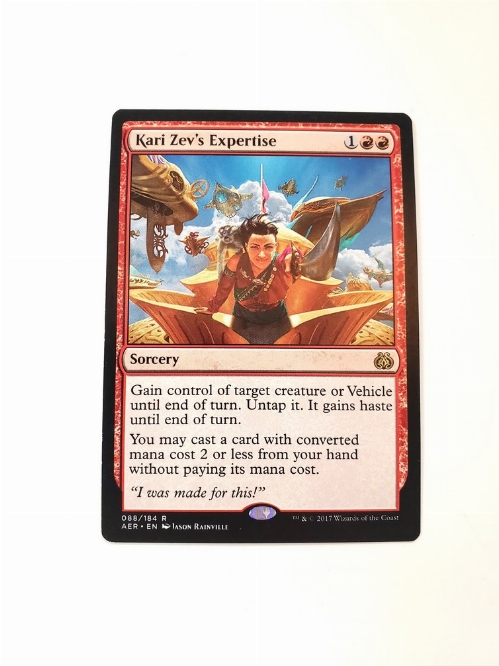 Kari Zev's Expertise