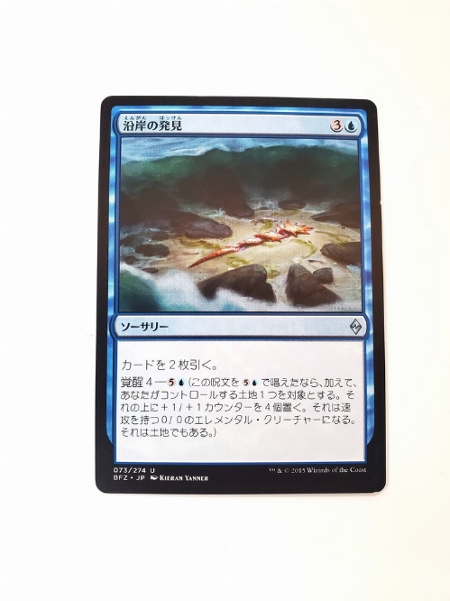 Coastal Discovery (Japonaise)