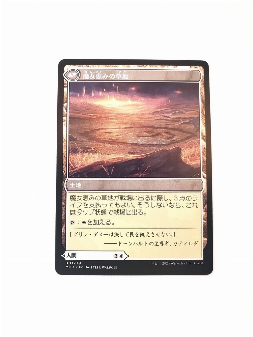 Witch Enchanter // Witch-Blessed Meadow (Japonaise)