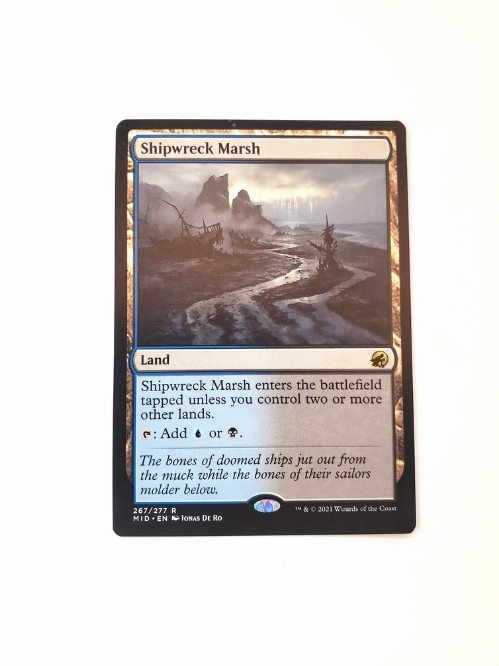 Shipwreck Marsh
