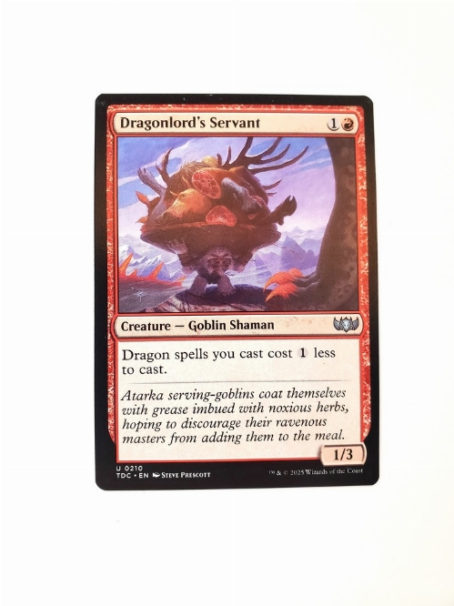 Dragonlord's Servant