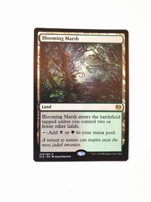 Blooming Marsh