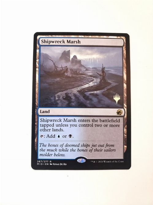 Shipwreck Marsh
