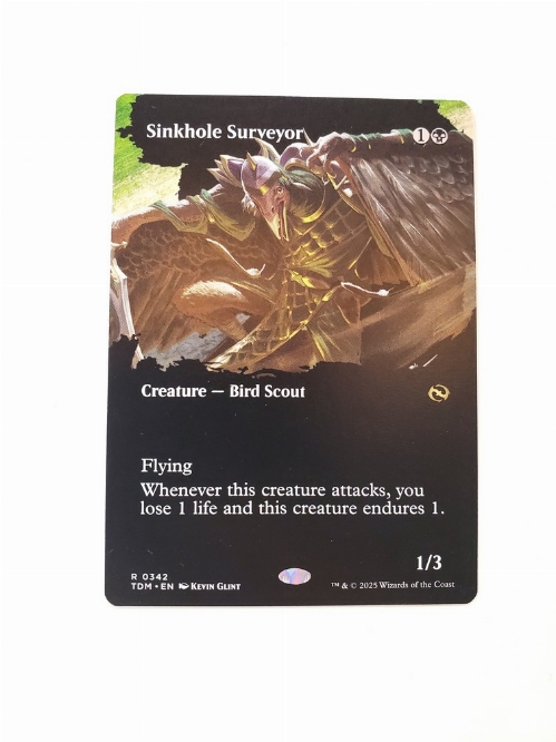 Sinkhole Surveyor (Borderless)
