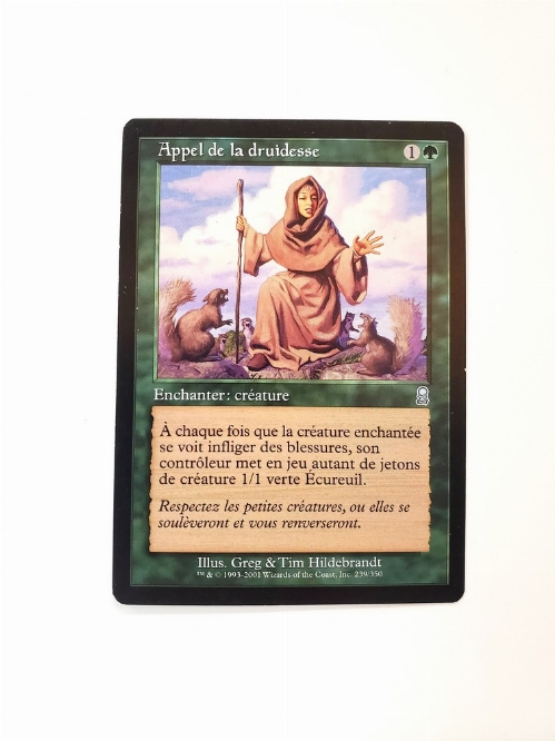 Druid's Call (Francaise)
