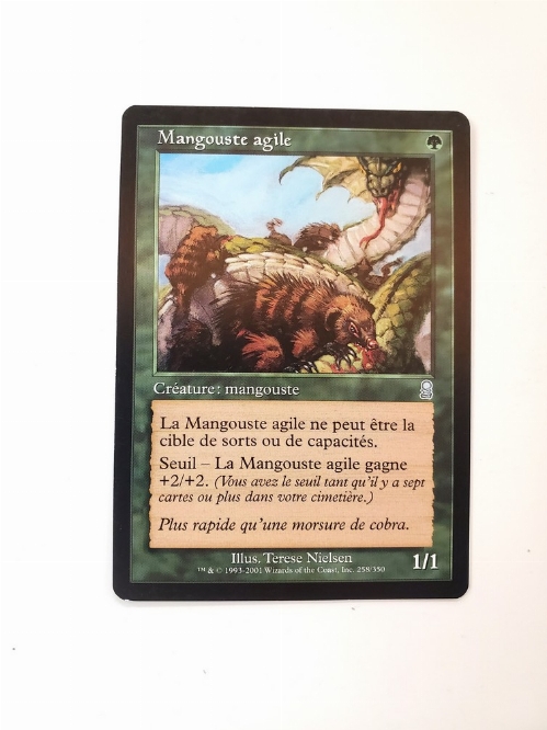 Nimble Mongoose (Francaise)