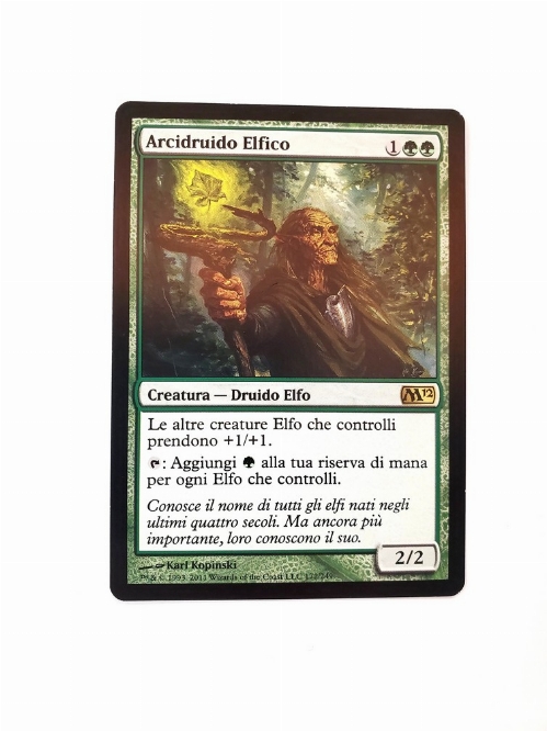 Elvish Archdruid (Italienne)