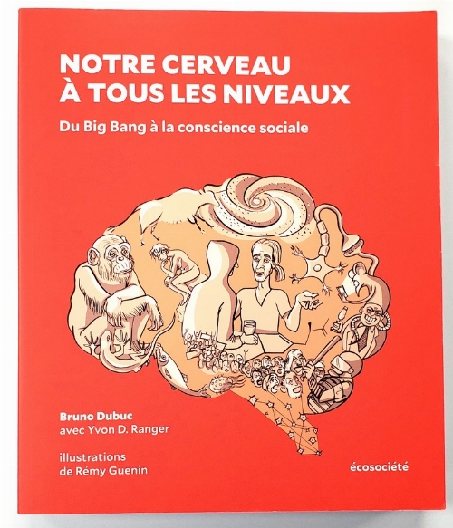 Notre Cerveau à Tous les Niveaux (Francais)