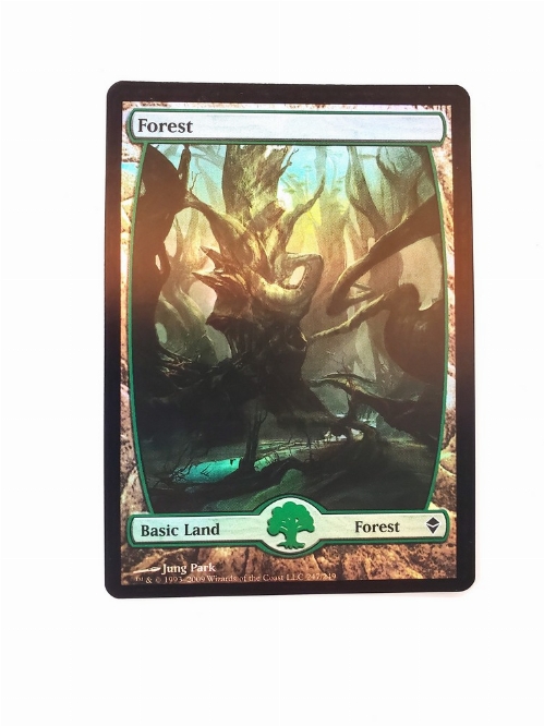 Forest (247) - Full Art (Foil)