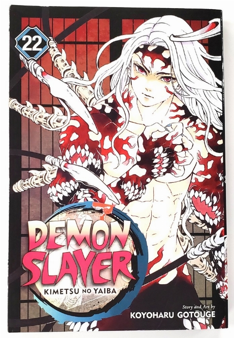 Demon Slayer (Vol.22) (Anglais)